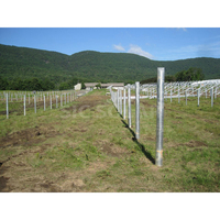 Composant de montage solaire PV Pieu d'ancrage à vis de terre