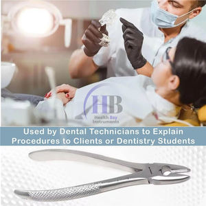 Pince dentaire pour dentiste avec kit d'outils en acier inoxydable à usage professionnel, 1 pièce - Product Image 3