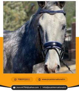 Remaches plegables, - Product Image 3