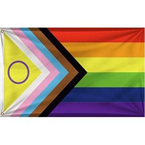 Lot de 2 drapeaux Pride 3x5 pieds, Nouveauté 2022, Drapeau LGBTQIA+ avec anneau violet, arc-en-ciel, intersexuel, inclusif, drapeau du progrès, résistant à la décoloration, USA TOP - Product Image 6