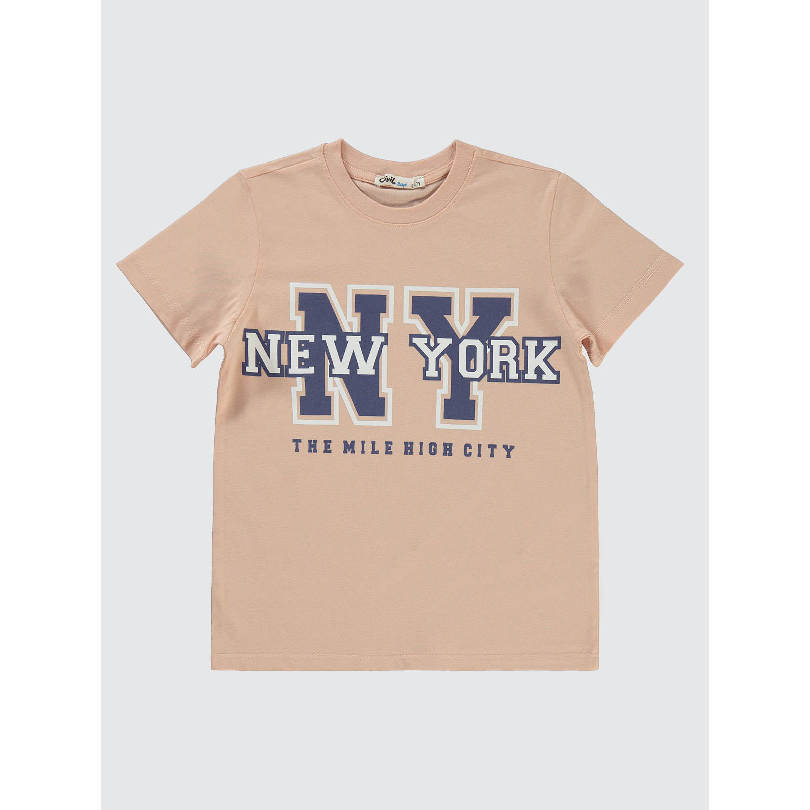 ปลาแซลมอน