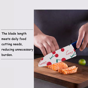 Meilleur vendeur Couteau de chef tactique Lame en céramique Plastique Autodéfense Protection personnelle Sécurité Formation Vente chaude Livraison rapide - Product Image 5