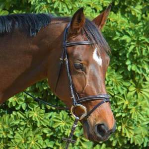 Hartford Bridle Leather Horse Bridle Tamaño completo Venta al por mayor nueva Brida de cuero Horse Snaffle de alta calidad en negro - Product Image 5