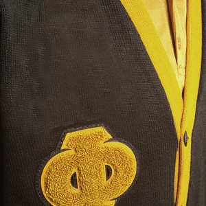 Capítulo Eventos Alfa |   Suéter Cárdigan Phi Alpha de Alta Calidad con Letras Griegas en Relieve, Cuello en V, Manga Larga, Letras Bordadas - Product Image 5