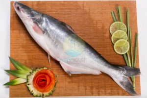 Pangasius Basa Frozen Whole Round Fuente vietnamita con embalaje requerido de buena calidad y saludable de pescado de Vietnam - Product Image 3