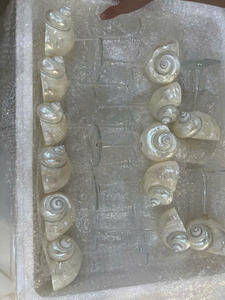 Cristal de Martini de concha natural de alta calidad para resort tropical y celebración costera elegante - Product Image 4