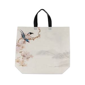 A Single Fashion Non-Woven Extra Large Bag for Supermarket - Product Image 3