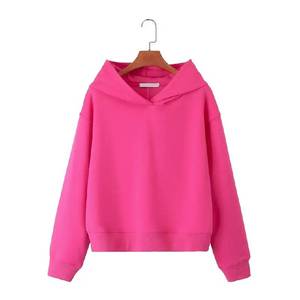 เสื้อฮู้ดดี้ผู้ชายสไตล์สตรีทแวร์ ผ้าคอตตอน 100% ตกแต่งด้วยงานปักลายฉลุแบบดิสเทรส ประดับคริสตัล ซิปถอดได้ น้ำหนักมาก เหมาะสำหรับฤดูใบไม้ผลิ - Product Image 5