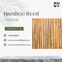 100% bâtons de bambou brut respectueux de l'environnement naturel poteaux piquets de bambou de roseau originaux en différentes tailles pour la décoration de la maison