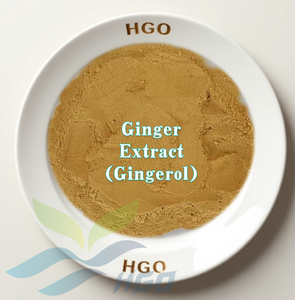 HGO Factory Fourniture directe d'extrait de gingembre naturel pur (qualité alimentaire) Spécification Gingerol 5% (extrait standardisé) - Product Image 1