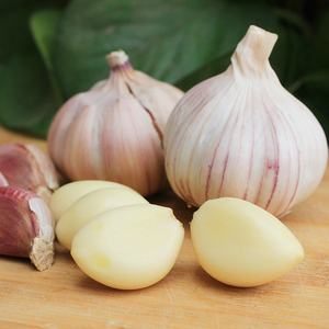 Haute Qualité 0.5cm Ail Blanc Frais 10kg Stockage Congelé avec Des Prix Compétitifs Emballage Parfait Offre Spéciale En Gros - Product Image 4