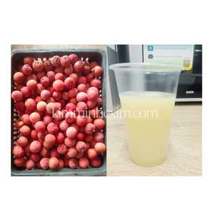 Kim Minh ลิ้นจี่ลิ้นจี่ลิ้นจี่ปราศจากน้ำตาลจากผลไม้และน้ำผักสดบรรจุในเวียดนามจำนวนมากที่ดีที่สุด - Product Image 4