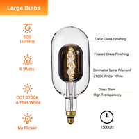 Ampoule LED vintage à filament en spirale en verre fumé de grande taille à double ampoule au design unique, intérieur 110-130V DG150 E26, lumières décoratives en verre
