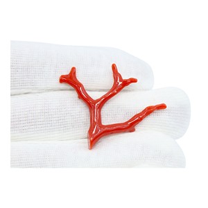 Palo de Coral rojo italiano natural, piedras preciosas sueltas, Coral suave, pulido en bruto, colgante de Coral del Mar Mediterráneo, fabricación de joyas - Product Image 4