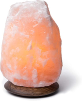 Lampe de sel rose de l'Himalaya naturelle écologique connectée par USB, décoration maison et voiture, style fleur sculptée, artisanat en ivoire