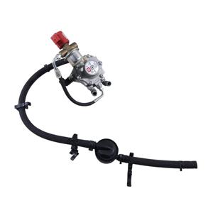 LPG GAS LUNG DR 5.0 Serie E03010006M7R SQRE4G15C Bifuel/Gas 1500 (19>) - Product Image 1