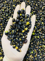 OEM ODM 100% soja noir torréfié légèrement sucré naturel du fournisseur vietnamien exportation en vrac