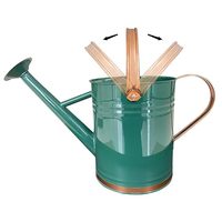 Pot d'eau en métal pour arrosoir de produit de jardin de couleur verte