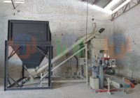 Machine d'emballage sous vide TBM-SS02-A-V avec double trémie de pesage pour l'emballage de poudre d'adhésif pour carrelage, de mastic mural et de poudre d'amidon