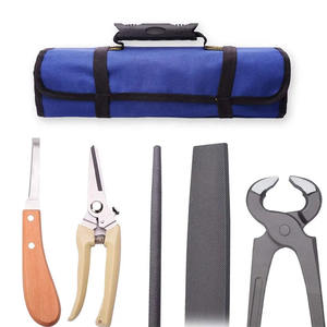 2023 Horse Hoof Kit Trimmer Cutting Nail Kit de instrumentos veterinarios Precio al por mayor personalizado Kits veterinarios - Product Image 3