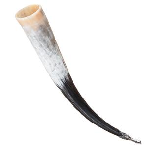 Top Selling Engraved Buffalo <b>Horn</b> Viking <b>Drinking</b> <b>Horns</b> for Gifting Accept Custom Logo Top Quality Viking <b>Drinking</b> <b>Horn</b> - Product Image 1