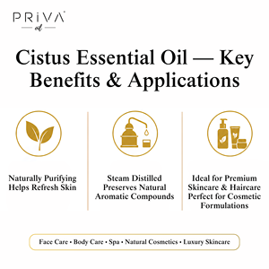 Huile essentielle de cumin biologique en vrac, distillée à la vapeur, qualité cosmétique, USDA Organic, Ecocert, vente en gros - Product Image 4