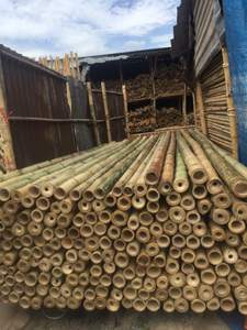 ¡VENTA CALIENTE DE POLO DE BAMBÚ de alta calidad más barata del 2025! Exportación mundial: el mejor material de construcción para la construcción - Product Image 3