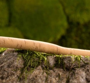 Naturepulse แปรงสีฟันออร์แกนิคไม้ทำความสะอาดฟันทำจากไม้เป็นมิตรกับสิ่งแวดล้อมช่วยให้ฟันขาวแข็งแรงแข็งแรงเป็นมิตรกับสิ่งแวดล้อม - Product Image 3