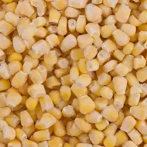 wholesales frozen vegetable IQF frozen sweet corn