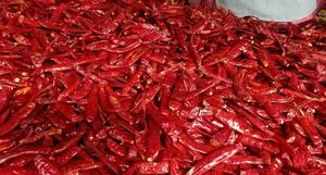 Usine vietnamienne fournissant du piment séché pour les commandes d'exportation en vrac avec une forte capacité et une uniformité du piment séché - Product Image 3