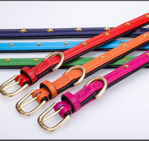 Collar de perro de cuero plano acolchado suave de curtiduría de PerA-Collar de perro de cuero verde de alta calidad de estrella para galgo y Whippet - Product Image 3