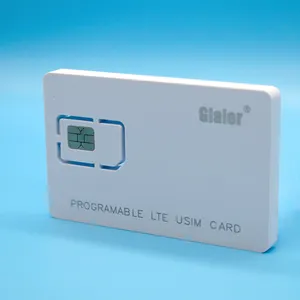 Gialer 4G LTE WCDMA GSM نانو مايكرو 2FF 3FF 4FF بطاقة SIM فارغة قابلة للبرمجة لمشغل الاتصالات