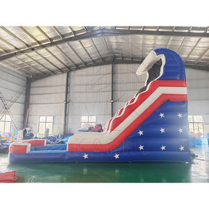 Custom Outdoor Residential <b>Inflatable</b> PVC <b>Water</b> <b>Slide</b> for Kids Adults Home Commercial Indoor Backyard Blow Up Waterslide - Product Image 4