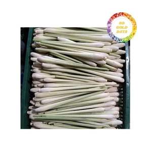 Hierba de Limón Congelada de Primera Calidad de Vietnam Disponible para Compradores de Exportación a Granel que Buscan Suministro Asequible y Consistente - Product Image 6