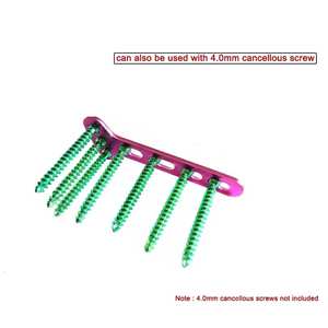 ชุดเครื่องมือผ่าตัดกระดูกสัตว์ ไทเทเนียม โอเบิล ที พ্লেท สแตนเลส สำหรับศัลยกรรมกระดูก 12 ชิ้น ขนาด 35 มม. พร้อมสกรู LCP 50 ตัว คู่มือการใช้งาน - Product Image 5