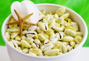 2023 nueva oferta de decoraciones de conchas de porcelana de monedas de alta calidad precio competitivo artesanía estándar de exportación de Vietnam - Product Image 4