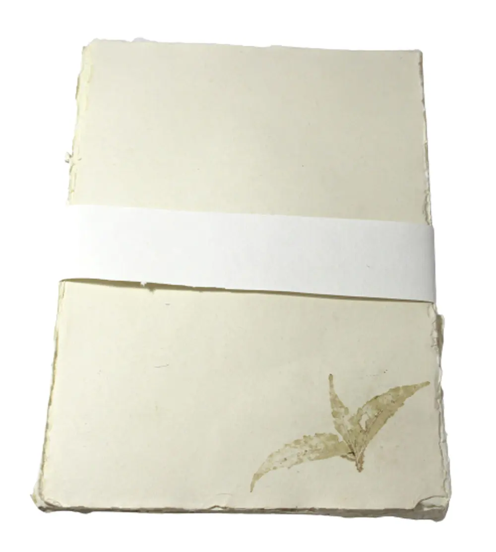 Deckle Edged (Natural Edged) A4 Buchstaben köpfe mit recyceltem hand gefertigtem Baumwoll papier The Rash Leaves Impressions Station ery Set