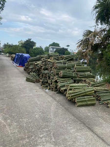 Suministro de bambú partido para exportación desde Vietnam para distribuidores que buscan un tamaño consistente y una calidad confiable - Product Image 5