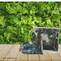 Feuilles de melon amer congelées/Feuilles de courge amère du Vietnam- KIM MINH INTERNATIONAL
