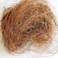 Meilleures ventes 2022 exportation de fibres de noix de Coco fabricants fournisseurs grossistes exportation