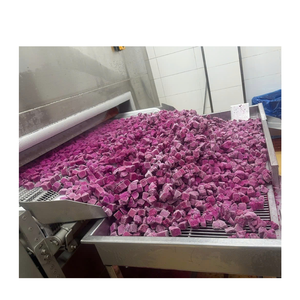 แก้วมังกรแช่แข็งสำหรับการแปรรูปอาหารก้อนสม่ำเสมอผสมง่ายผลผลิตเยื่อกระดาษสูงอายุการเก็บรักษานานราคาโรงงาน - Product Image 2