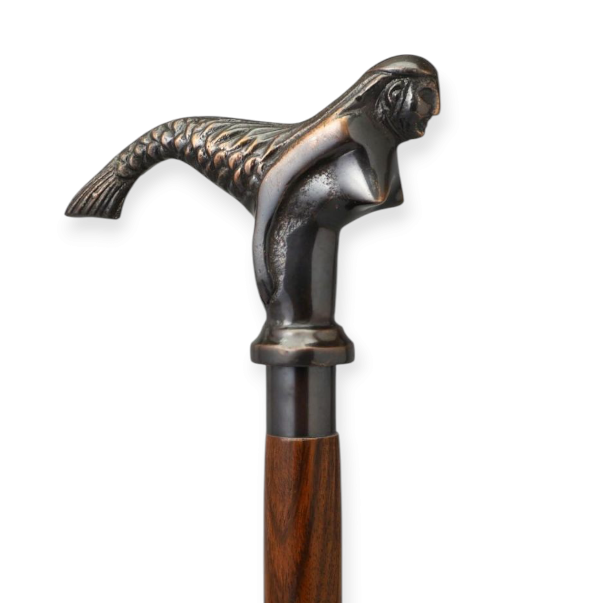 สีน้ำตาล