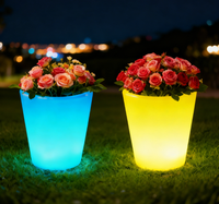 Pot de fleurs et vase lumineux LED d'extérieur écologiques modernes avec matériau PE et longue durée de vie de la batterie