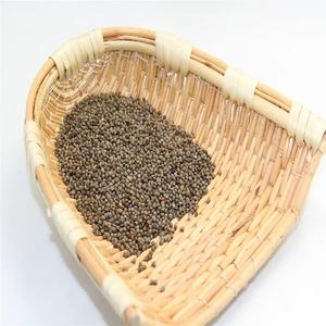 Graines de périlla blanche de haute qualité, origine américaine, stockage à sec, vente à bas prix 2023 - Product Image 5