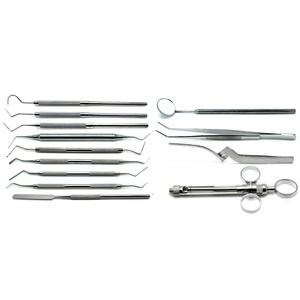 Kit d'hygiène dentaire professionnel de haute qualité, ensemble d'instruments, source d'alimentation manuelle, certifié CE, durable, SWISHER INTERNATIONAL - Product Image 2