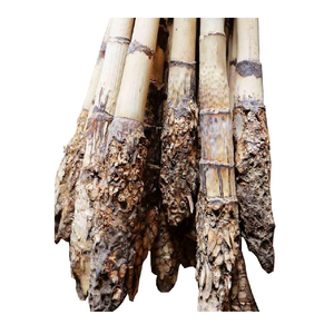 Singapore Best Price Furniture and Handicrafts Wholesale High Quality Natural Raw <b>Rattan</b> <b>Cane</b> Material Made From Singapore - Product Image 3