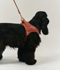 <span class=keywords><strong>Harness</strong></span> Anjing Berkualitas Tinggi Bahan Kulit PU yang Dapat Disesuaikan dengan Logo Kustom, Dilengkapi Tali dan Rompi <span class=keywords><strong>Harness</strong></span> - Product Image 4