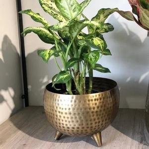 Jardinière en métal texturé fait main avec finition mate noire pour jardin ou décor d'hôtel - Product Image 2