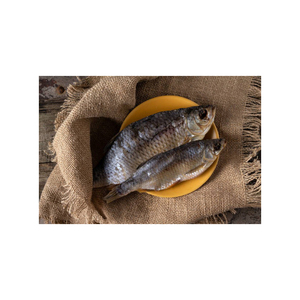 Suministro a granel Rudd seco al por mayor precio barato pescado conservado de grado superior - Product Image 3