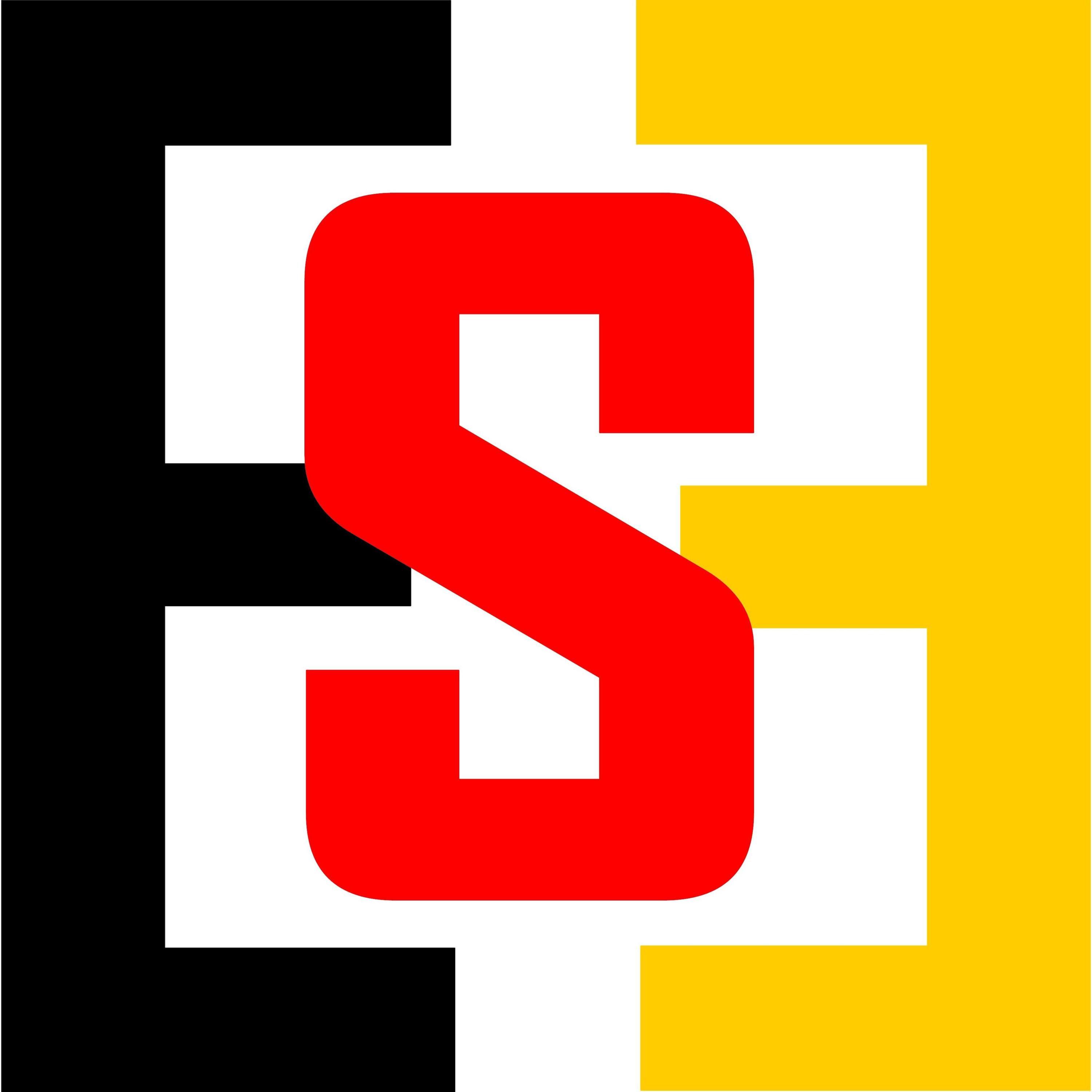 eMerge Technology Services GmbH logo
